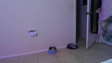 Crystal Lake online show from November 2025 05:22:02 AM