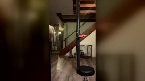 wyattmcc32288 online show from March 2026 08:10:02 AM