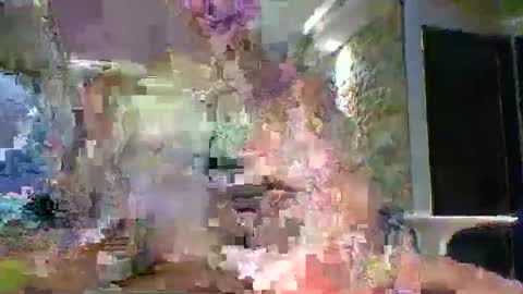 Snapshot of xavii31 chatting on March 2026 01:44:01 AM xavii31 online show from March 2026 01:44:01 AM