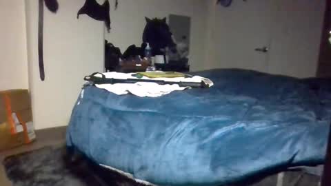 Snapshot of xbigtymerx chatting on December 2024 02:06:02 PM Toke online show from December 2024 02:06:02 PM