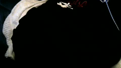 Snapshot of xbigtymerx chatting on December 2024 06:57:02 AM Toke online show from December 2024 06:57:02 AM