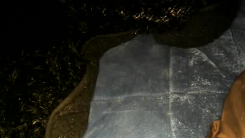 Snapshot of xbigtymerx chatting on January 2025 09:57:01 AM Toke online show from January 2025 09:57:01 AM