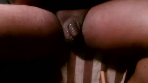 Toke online show from February 2026 02:13:01 PM