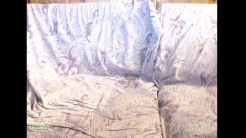 xcockstar online show from March 2025 08:10:02 PM