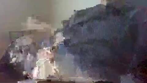 xevi1974 online show from December 2024 02:43:02 PM