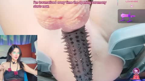     online show from May 2026 03:29:01 PM