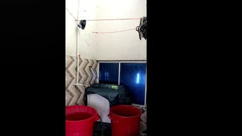 xilongbaby29 online show from October 2025 01:56:02 PM