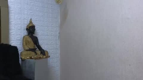 ximena online show from February 2025 09:19:02 PM