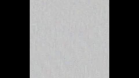 JSSD online show from November 2025 08:52:02 PM