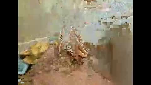 Snapshot of xmark99 chatting on November 2025 04:53:01 PM Jj880 online show from November 2025 04:53:01 PM