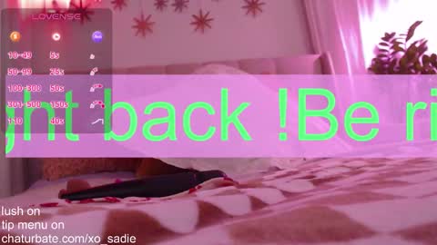 Snapshot of xo_sadie chatting on February 2026 06:01:02 AM Xo Sadie online show from February 2026 06:01:02 AM