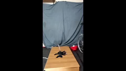 xoomia3 online show from January 2026 10:28:02 AM