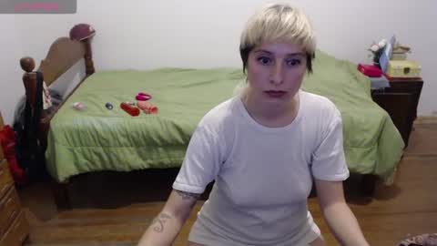 Hidra online show from June 2026 03:33:01 AM
