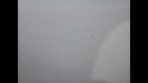 Mariel online show from December 2024 12:07:02 PM