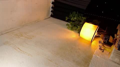 Sophie online show from October 2025 05:57:01 PM