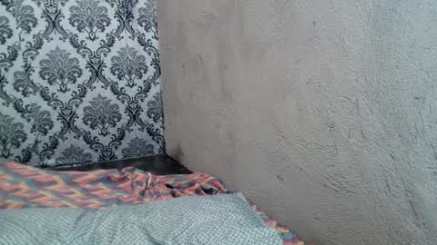 Windy online show from December 2024 01:29:02 AM