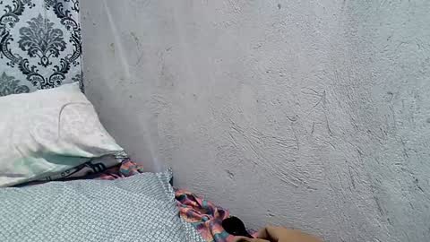 Windy online show from January 2025 06:05:01 AM