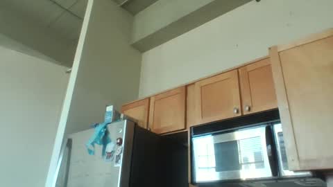 Snapshot of xxxdanidoomsdayxxx chatting on December 2025 08:29:01 PM Danielle online show from December 2025 08:29:01 PM