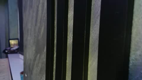 Snapshot of xxxdonpuiuuxxx chatting on February 2026 09:21:01 PM xxxdonpuiuuxxx online show from February 2026 09:21:01 PM