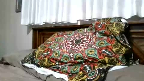 xxxloverloganxxx online show from February 2026 12:32:02 PM