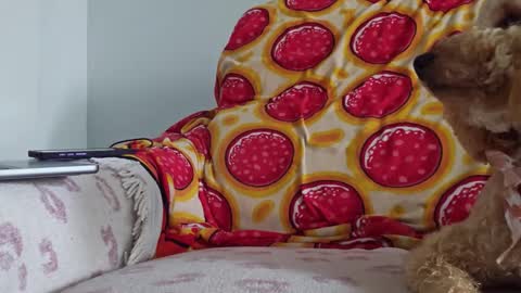 Snapshot of xxxtonymxxx chatting on January 2025 05:13:01 PM TonyDoesMiami online show from January 2025 05:13:01 PM