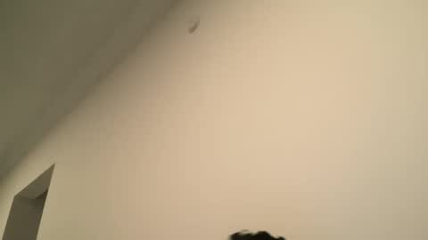 Snapshot of yacout87 chatting on February 2025 06:55:02 PM Dick Ass online show from February 2025 06:55:02 PM