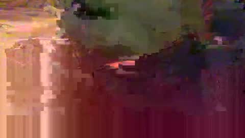 yangolox3 online show from February 2026 05:48:02 AM