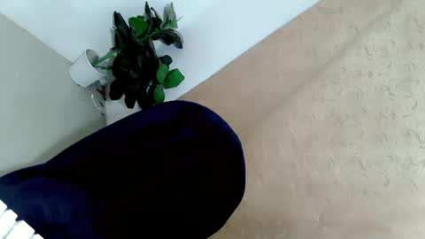 yannafucks online show from May 2026 10:13:01 AM