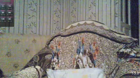 Sven online show from January 2025 07:48:01 AM