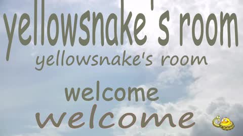 Snapshot of yellowsnakes chatting on September 2025 10:37:02 PM . y e l l o w s n a k e s . online show from September 2025 10:37:02 PM