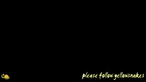Snapshot of yellowsnakes chatting on April 2026 11:48:01 AM . y e l l o w s n a k e s . online show from April 2026 11:48:01 AM