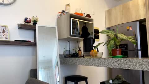 Zlata online show from February 2025 10:28:02 PM