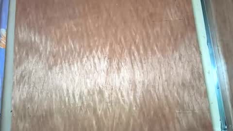 Snapshot of yhang_slut chatting on November 2025 07:34:02 AM yhang_slut online show from November 2025 07:34:02 AM