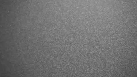 Snapshot of your_little_flexible_girl chatting on February 2025 09:38:01 PM Meri online show from February 2025 09:38:01 PM