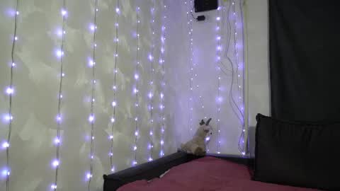 Snapshot of your_little_flexible_girl chatting on February 2026 09:15:02 PM Meri online show from February 2026 09:15:02 PM