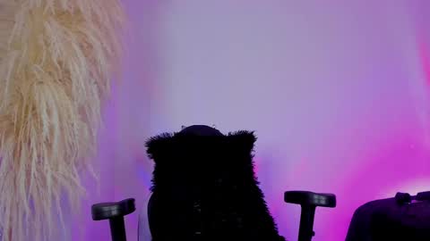 Cami independent model online show from February 2025 01:59:01 PM