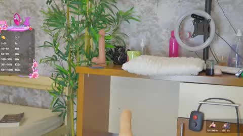 Anna online show from November 2025 08:10:01 PM