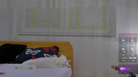 Anna online show from May 2026 07:10:02 PM