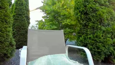 Jacky online show from June 2026 04:32:02 AM