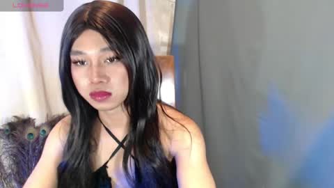 Stella online show from May 2026 03:49:02 PM
