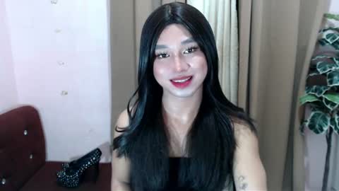 Stella online show from June 2026 12:44:01 PM