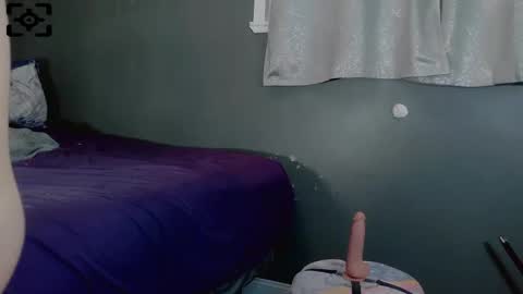 Payton kelly online show from January 2025 12:26:01 PM