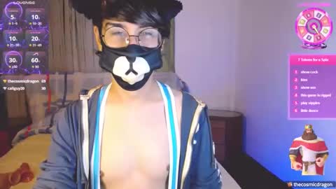 the puppy boy online show from March 2025 03:19:01 AM