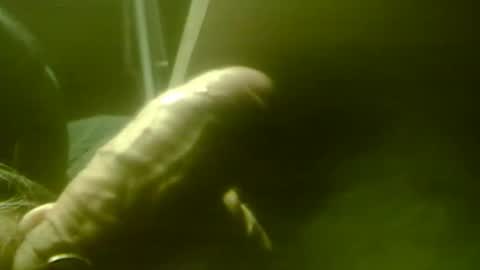 Snapshot of zaboski4 chatting on December 2025 08:52:01 AM zaboski4 online show from December 2025 08:52:01 AM