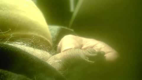 Snapshot of zaboski4 chatting on February 2026 08:24:07 AM zaboski4 online show from February 2026 08:24:07 AM