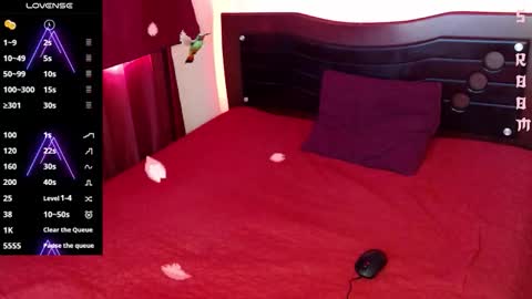 Zagarah online show from February 2026 03:52:02 PM