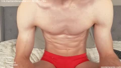 Snapshot of zandersparks chatting on November 2025 12:13:01 AM Zander Sparks online show from November 2025 12:13:01 AM