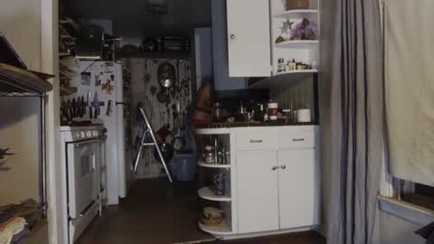 zed_alpha online show from September 2025 10:25:02 AM