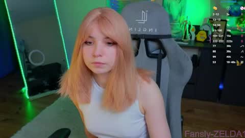 Zelda online show from May 2026 11:52:02 AM