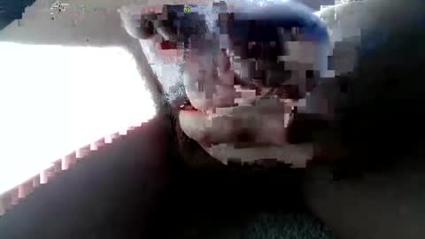 zenflex online show from November 2025 11:42:01 AM